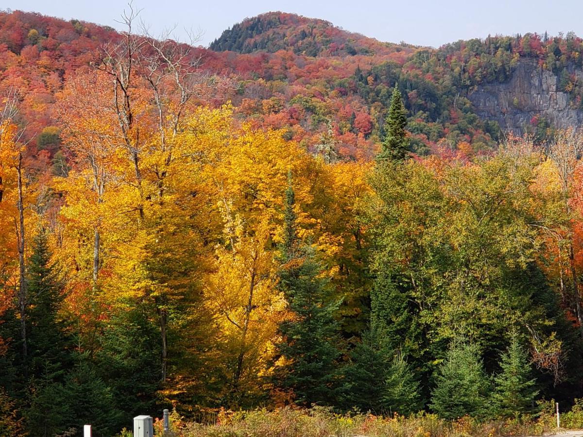 Chalet F116 Mont-Tremblant Nord Lac-Superieur Kültér fotó