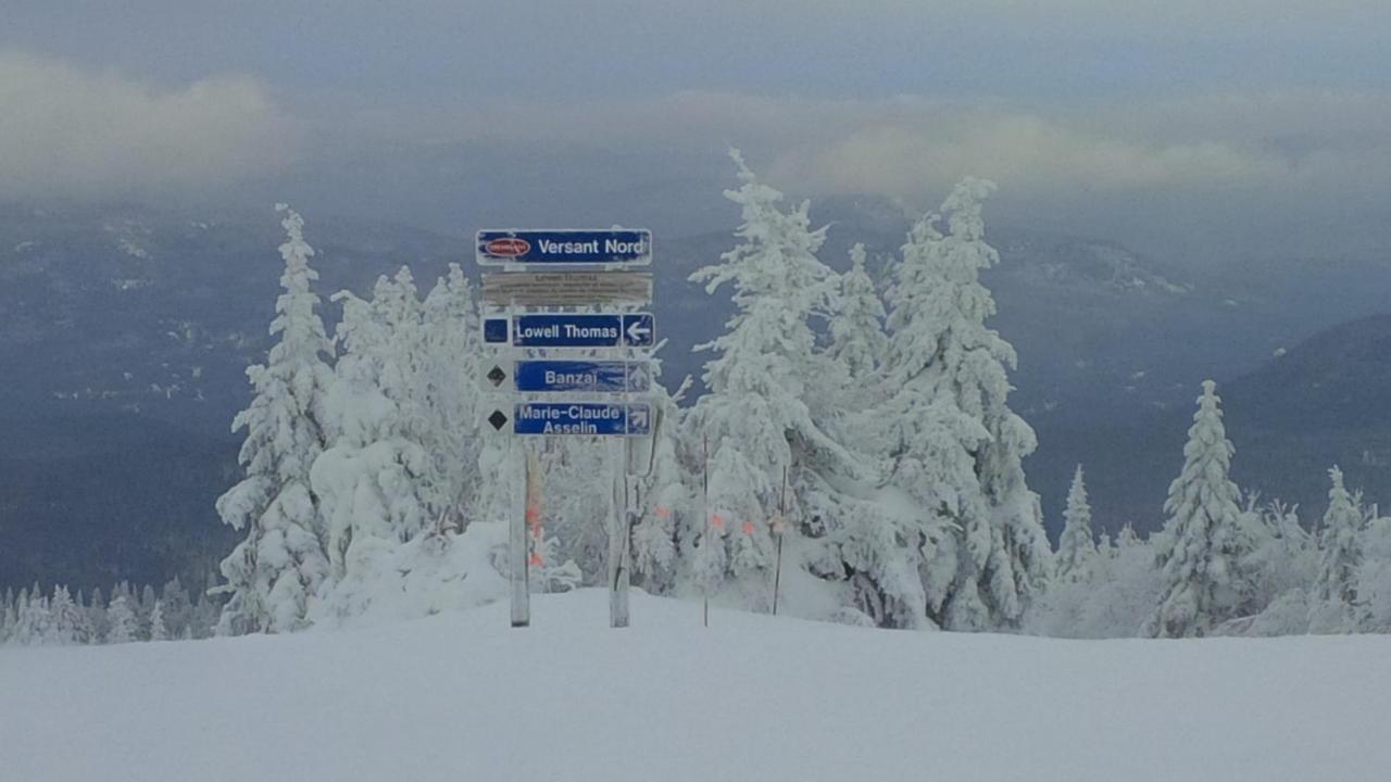 Chalet F116 Mont-Tremblant Nord Lac-Superieur Kültér fotó